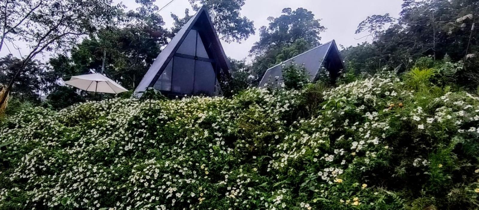 Yarumo Lodge, Rio Celeste Black Chalets Bijagua Luaran gambar
