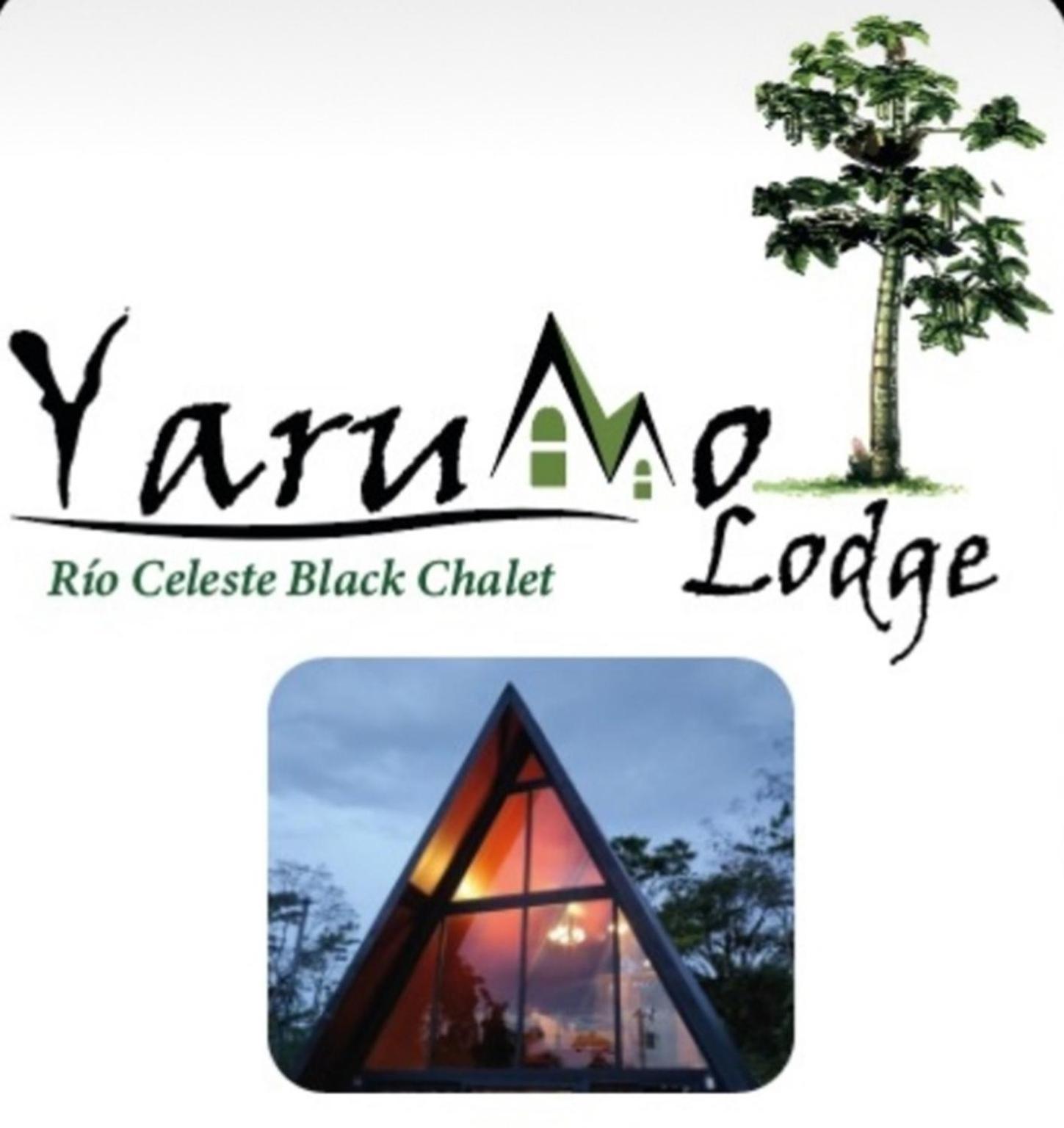 Yarumo Lodge, Rio Celeste Black Chalets Bijagua Luaran gambar