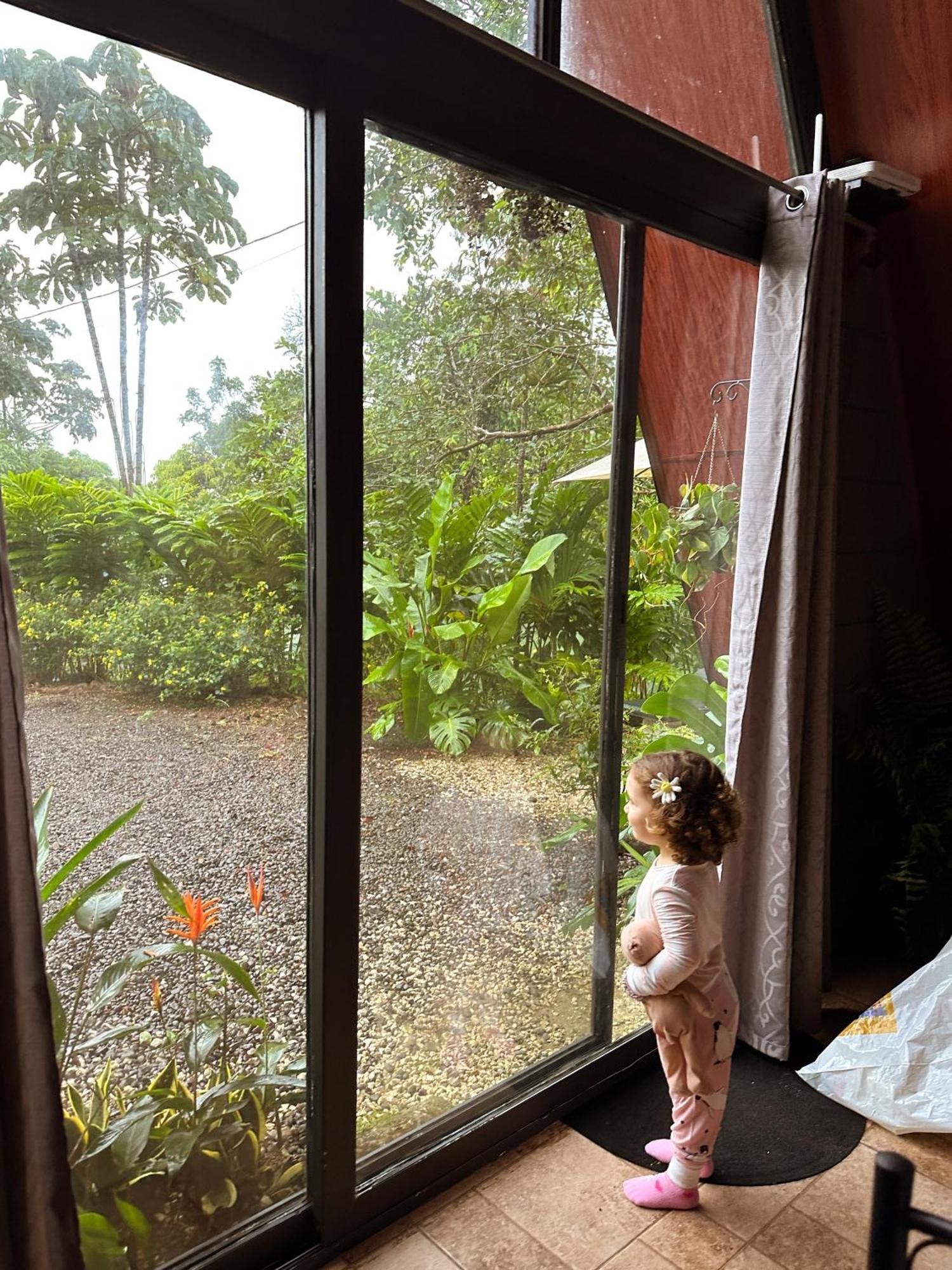 Yarumo Lodge, Rio Celeste Black Chalets Bijagua Luaran gambar